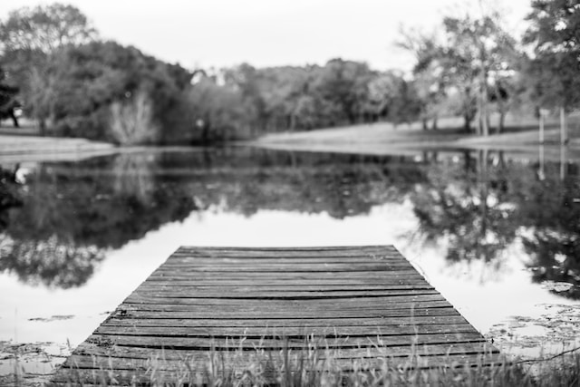 Black and white photo of the appearance of a plank plinth on a quiet small lake surrounded by trees in Brenham, TX, USA